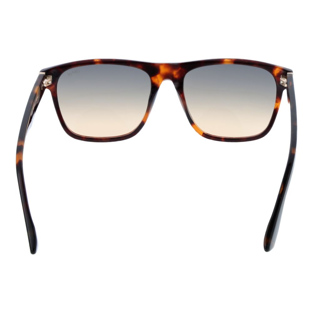 Brown Men Sunglass