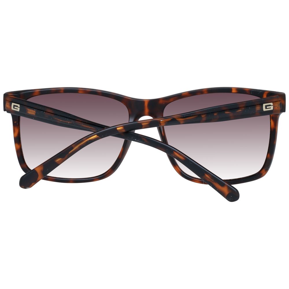 Brown Men Sunglass