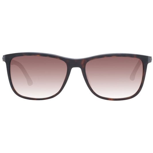Brown Men Sunglass