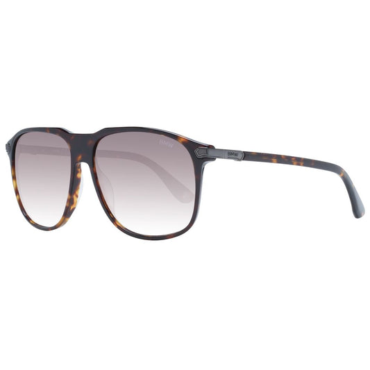Brown Men Sunglass