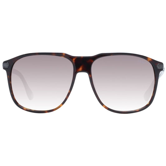 Brown Men Sunglass