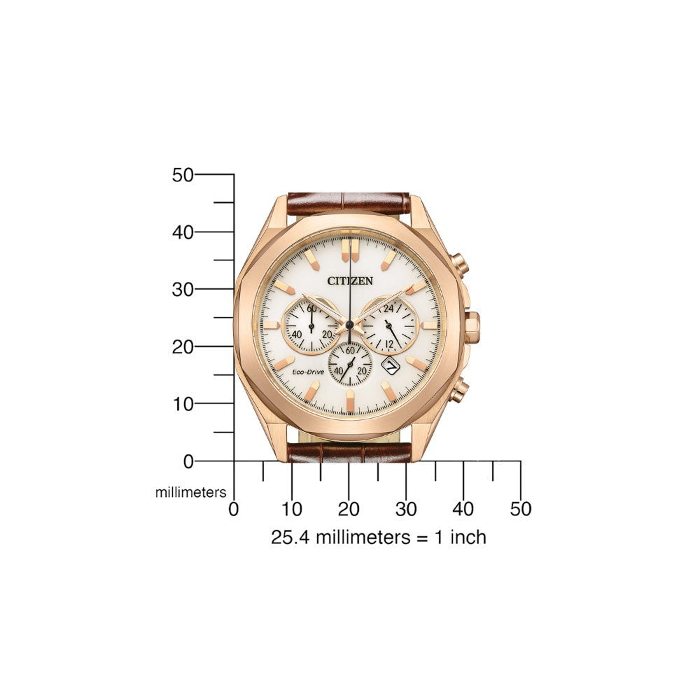 CITIZEN Mod. CA4593-15A-5